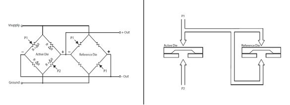 p25.jpg